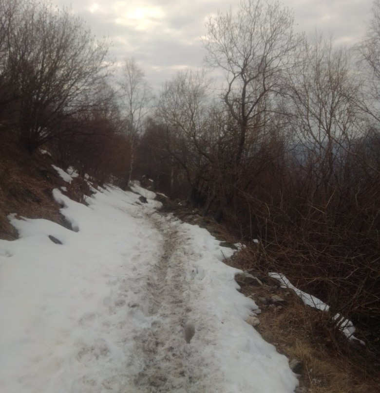 Parco Alpe del Viceré景点图片