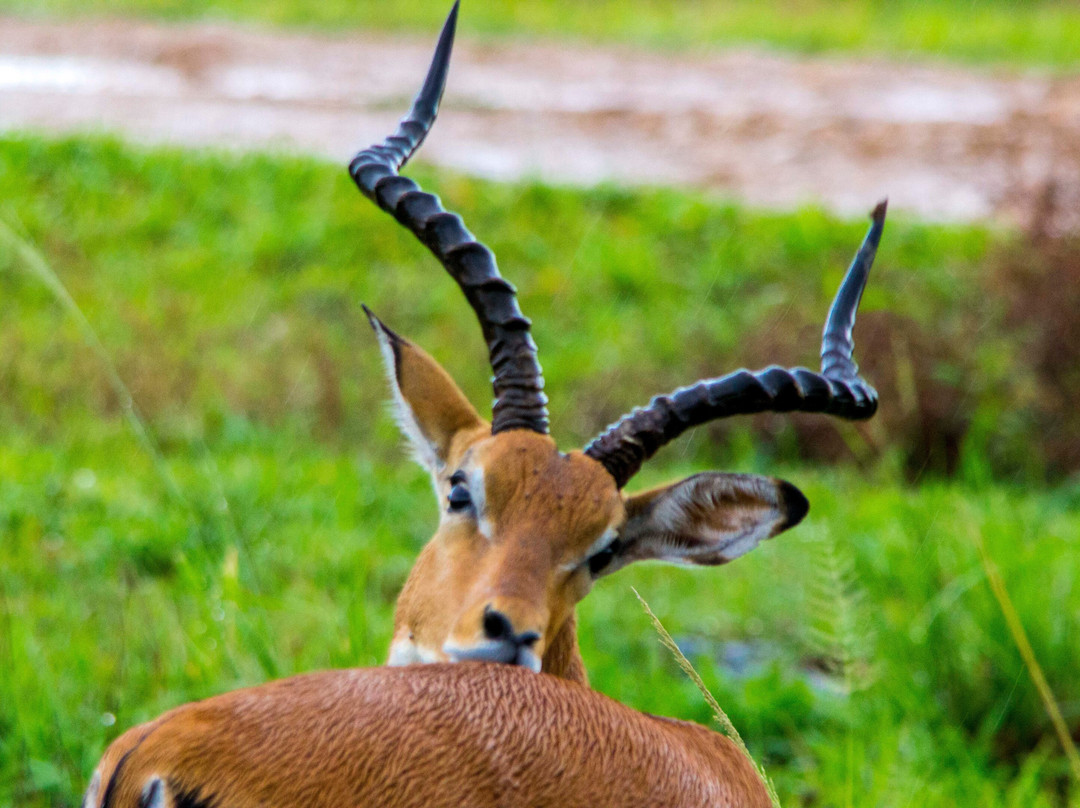 Digitata Tours & Safaris-Iringa必去景点