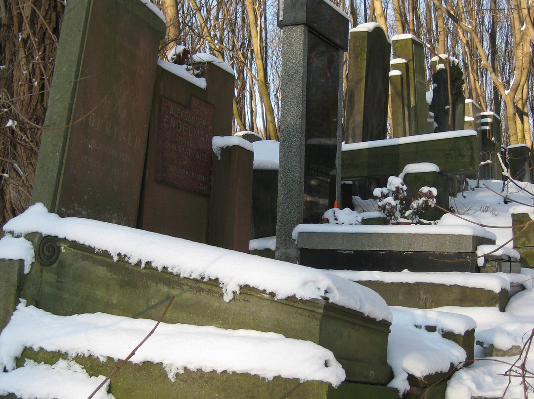 Jewish Cemetery (Cmentarz Zydowski)-华沙必去景点