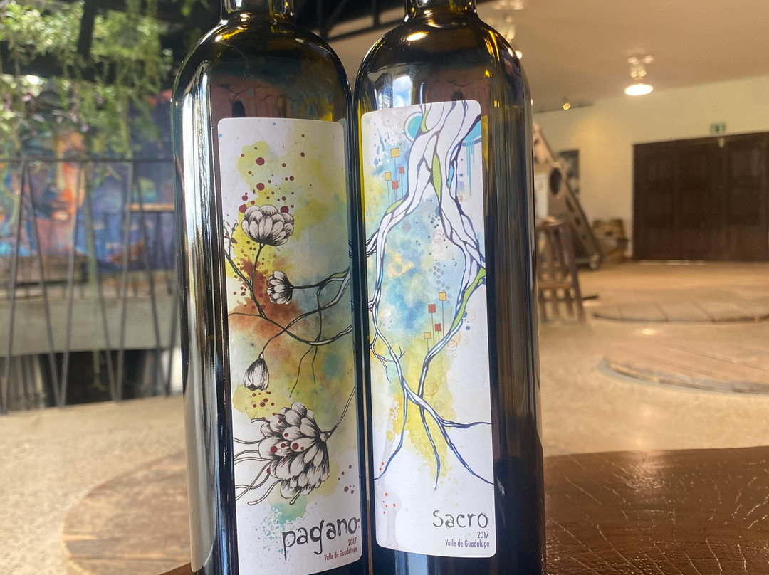 La Lomita Winery-Valle de Guadalupe必去景点