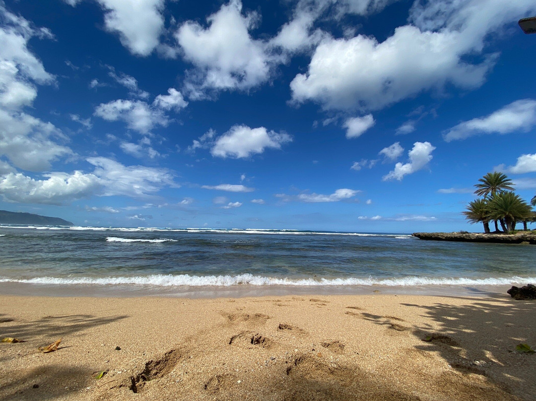 North Shore Beach Bus-火奴鲁鲁必去景点