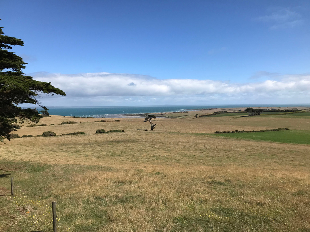 HA Lane Memorial Lookout-斯坦利必去景点