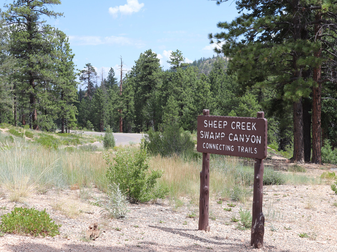Swamp Canyon-布莱斯峡谷国家公园必去景点
