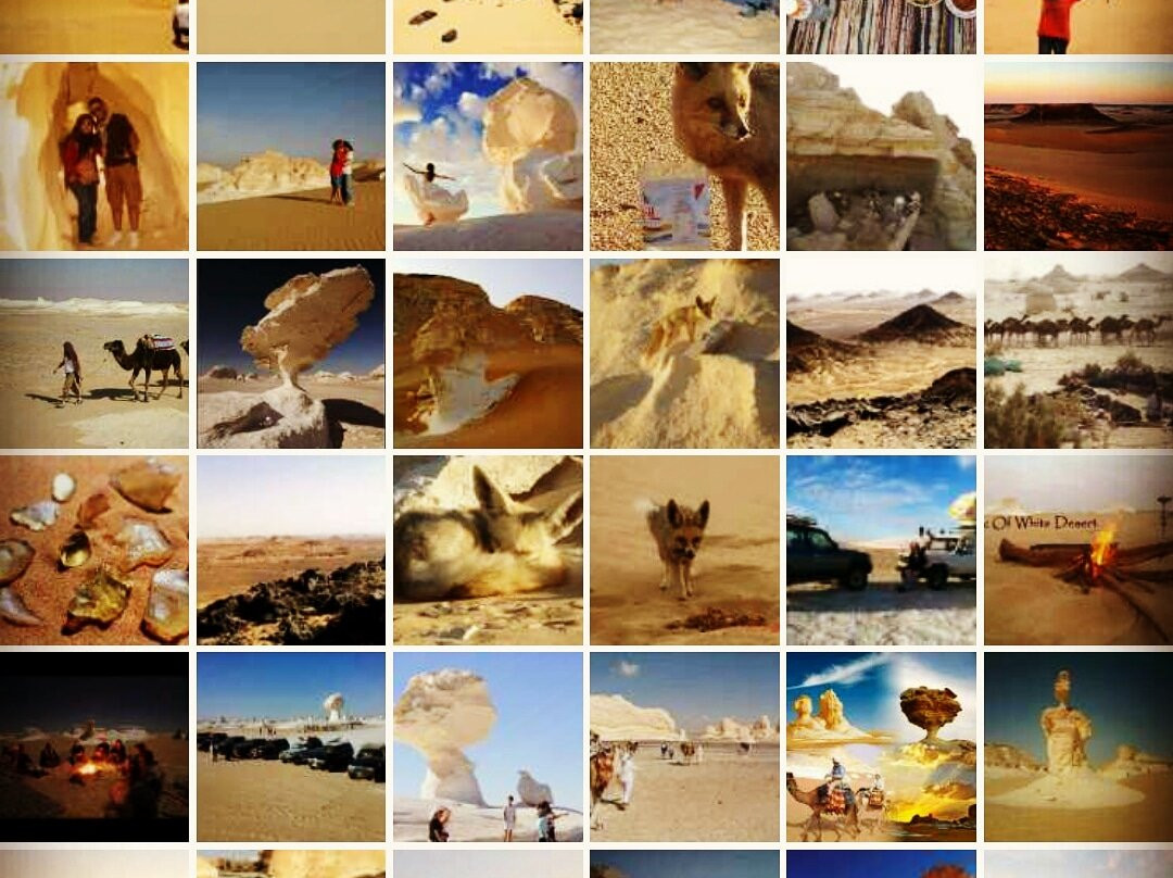White Desert Egypt-吉萨必去景点