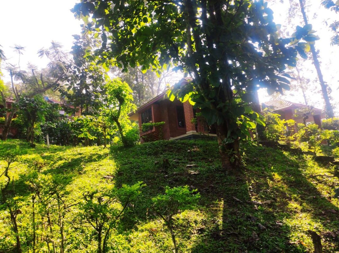 Wild Life Resorts主图