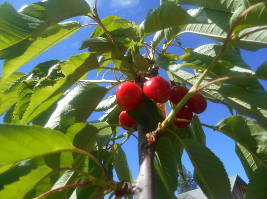 Mountain Spirit Inn主图