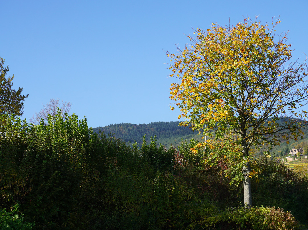 Landhaus Christmann主图