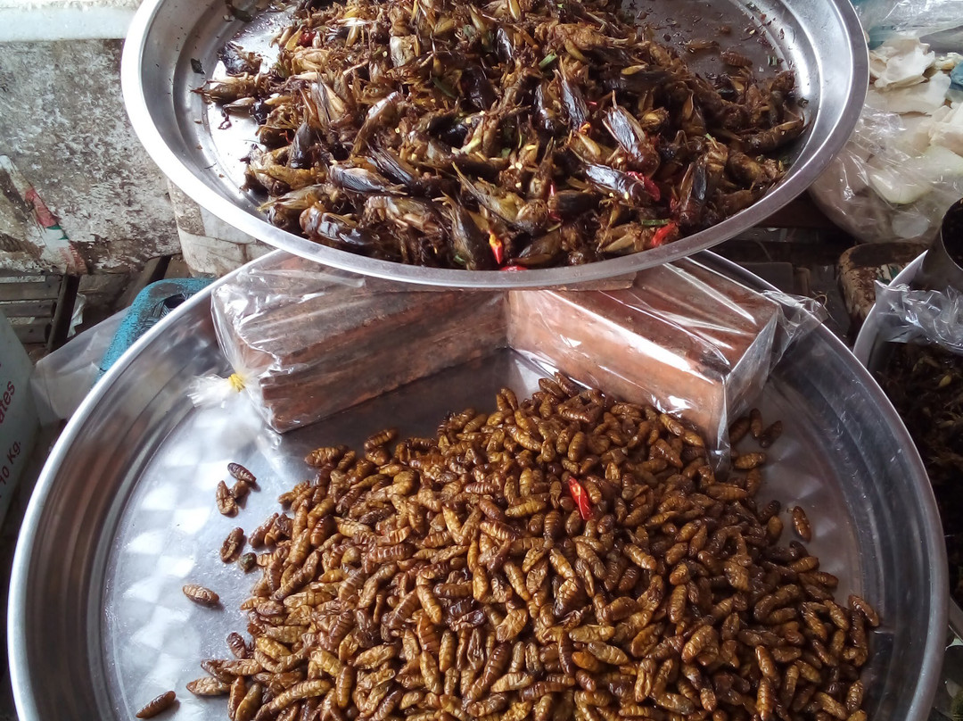 Skun Spider Sanctuary-斯昆必去景点