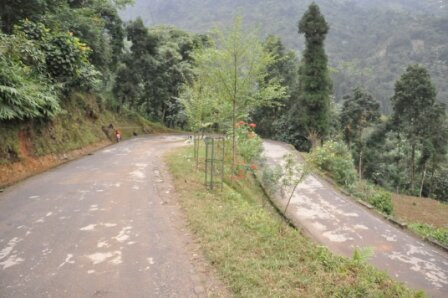 Roys Rabdentse Residency主图