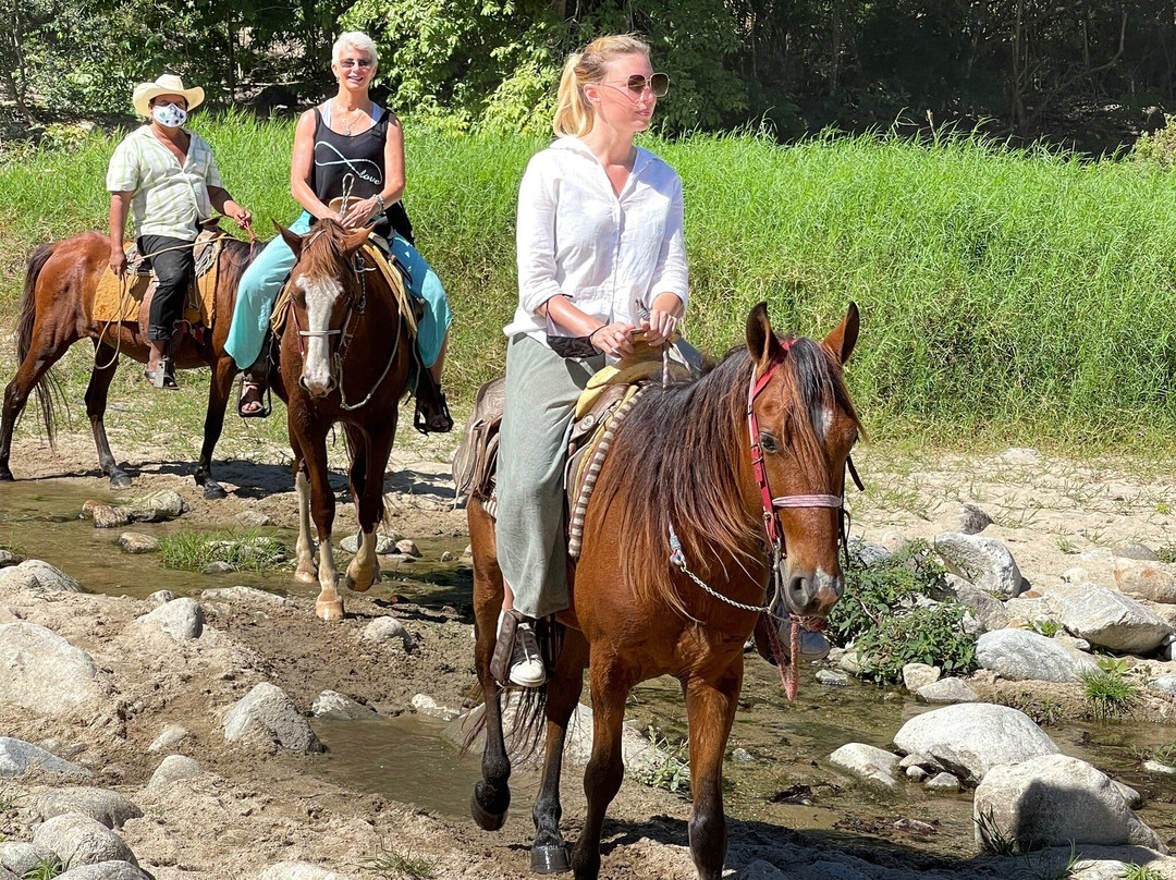 Robert's Ecotours-埃斯孔迪多港必去景点