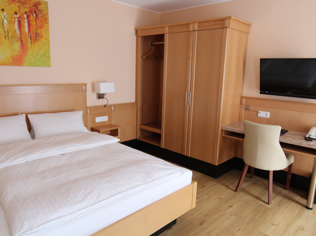 Hotel Kral - Gästehaus主图