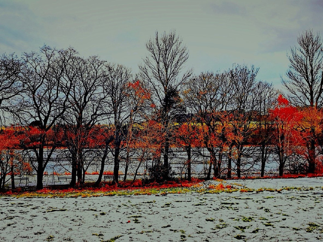 Linlithgow Loch Circular  Walking Route-林利斯戈必去景点