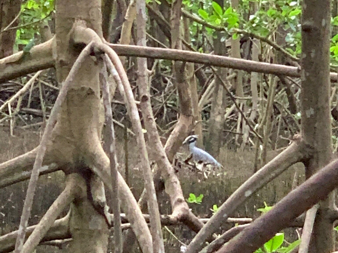 Le Mantou - Ecomer-Trois-Ilets必去景点