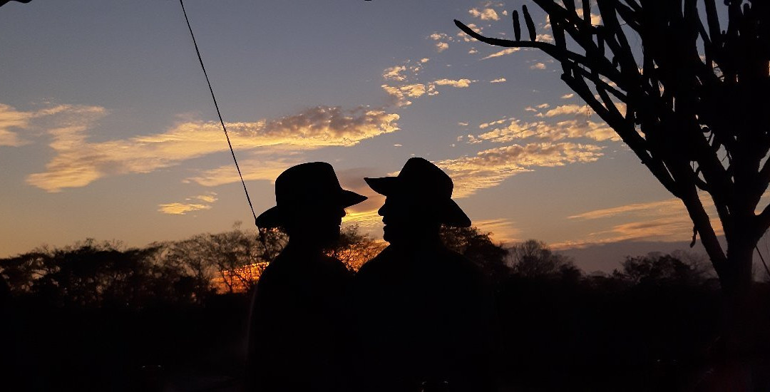 Agave Fields-瓦图尔科必去景点