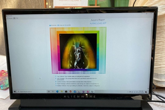 ADORATHERAPY-阿什维尔必去景点