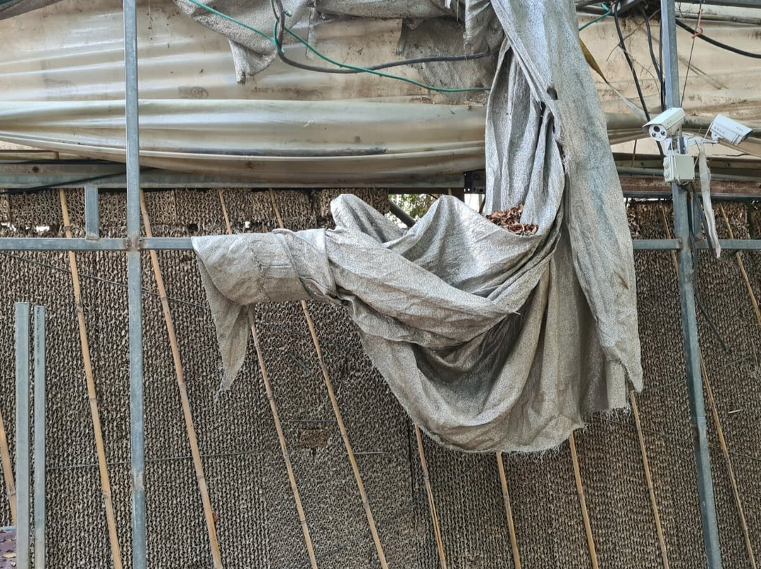 Utopia Orchid Park-Bahan必去景点