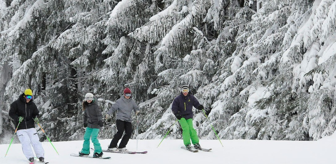 The Old Library Inn主图