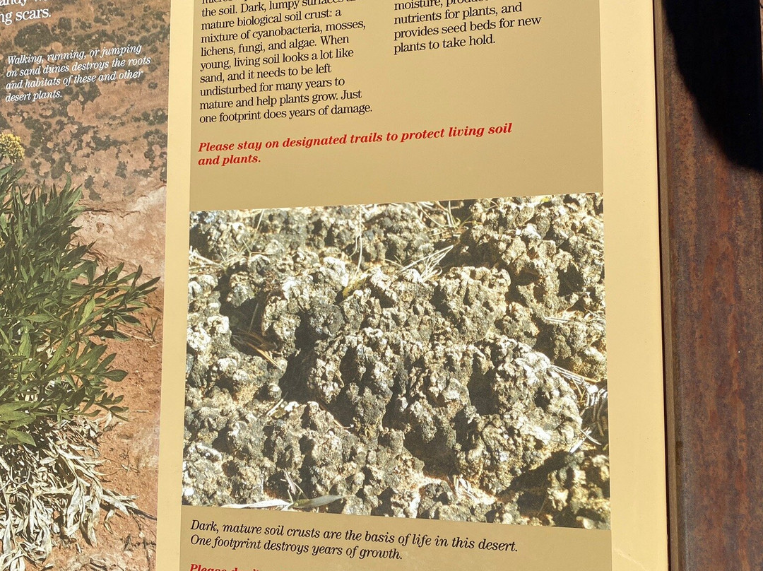 Park Avenue Trail-拱门国家公园必去景点