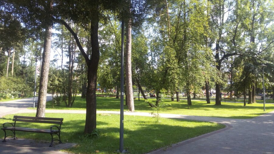 The City Park. Adam Mickiewicz