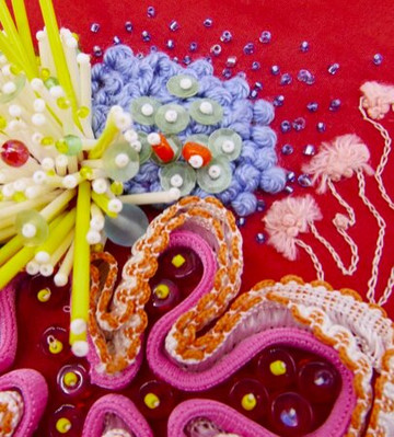 Gorman Arts Centre-堪培拉必去景点