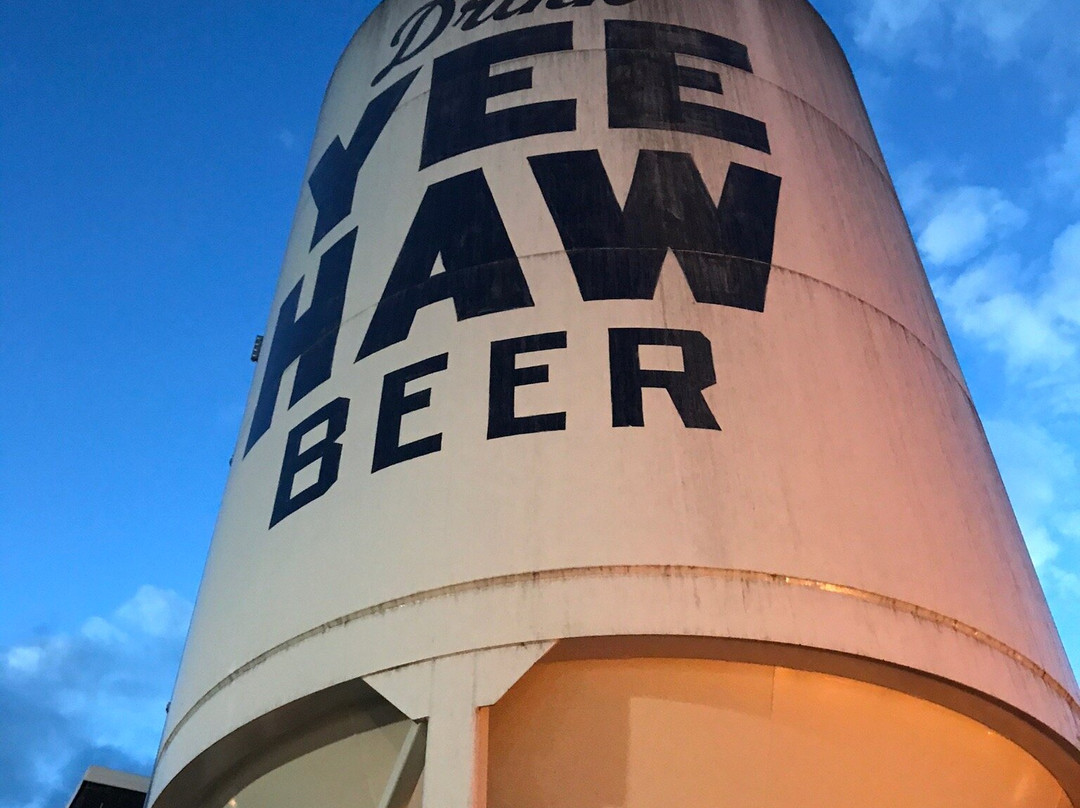Yee Haw Brewing Co.景点图片