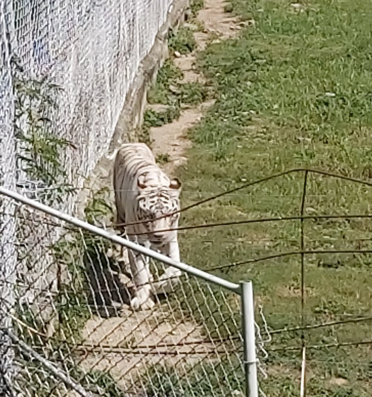 National Zoological Park-圣多明哥必去景点