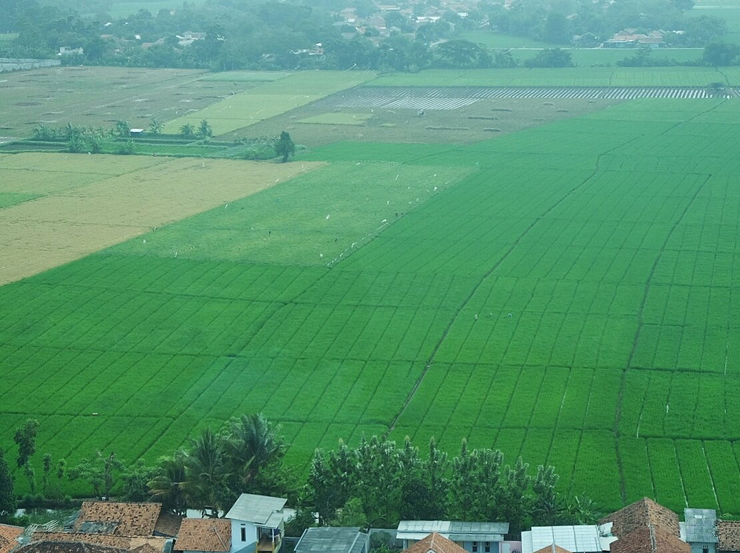 Resinda Hotel Karawang Managed By Padma Hotels主图