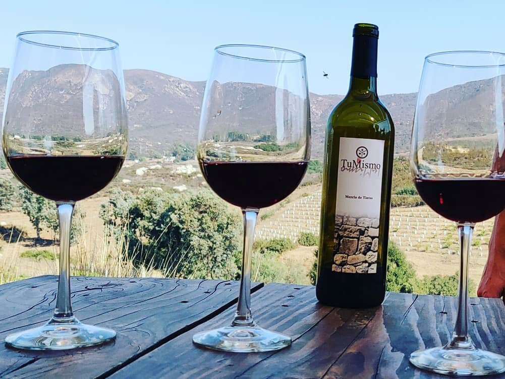 Clos de Tres Cantos景点图片