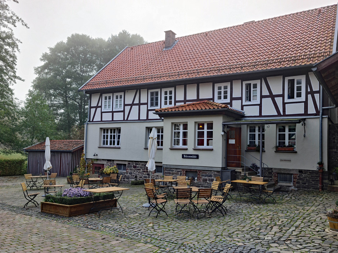 Romantik Hotel Landhaus Bärenmühle主图