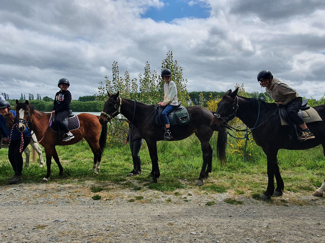 Waimak River Riding Centre Limited-基督城必去景点