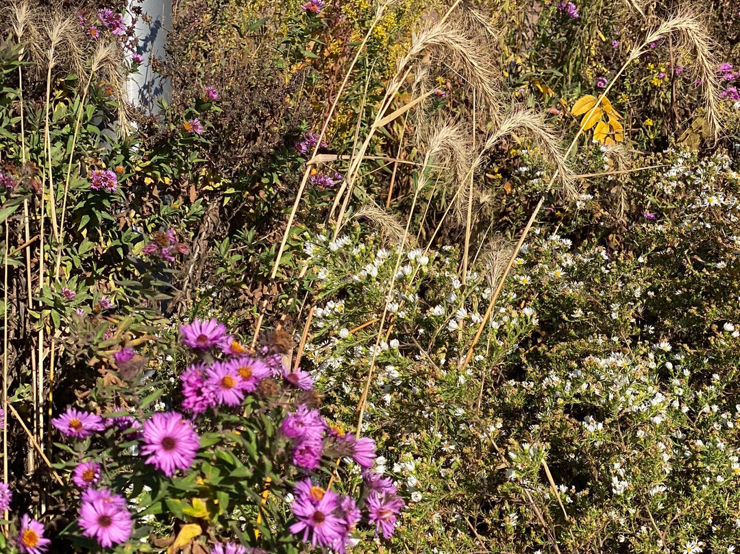 Phoenix Park-欧克雷尔必去景点