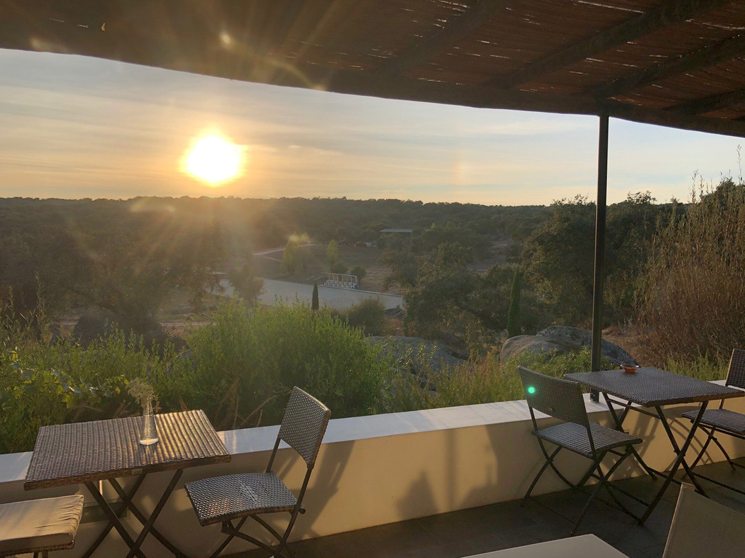 蒙韦柳度假酒店主图