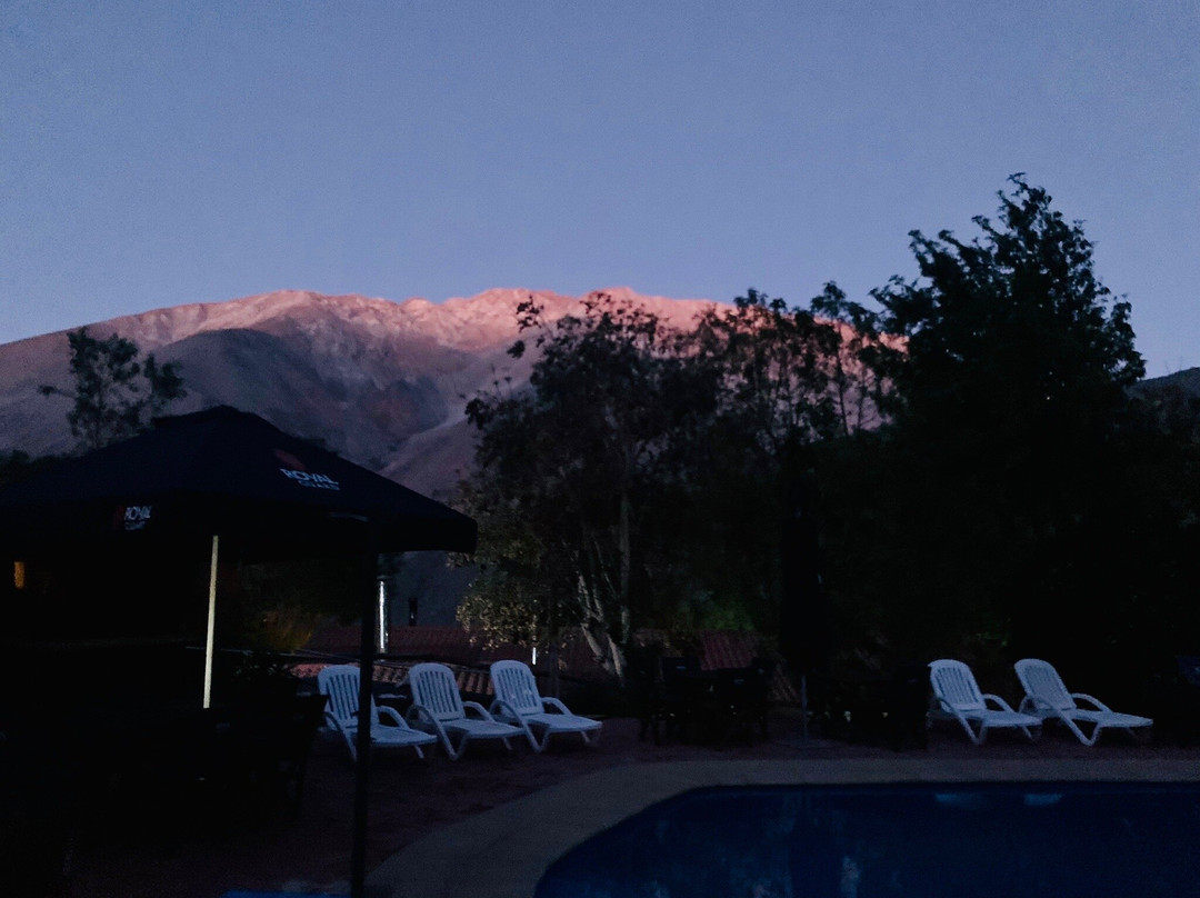 El Galpon Pisco Elqui主图