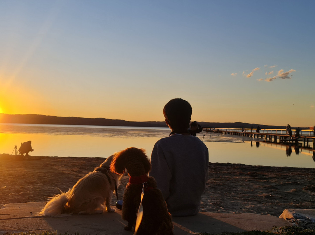 Buccaneer Motel主图