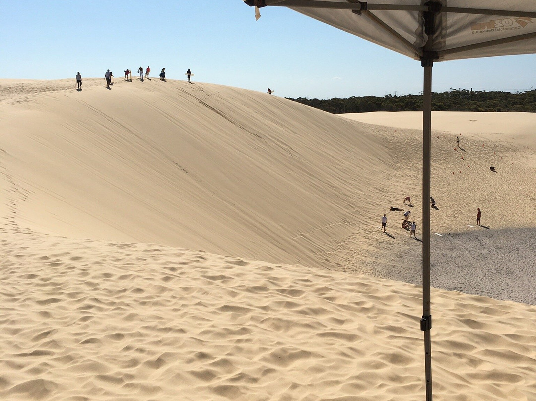 Sand Dune Safaris-安娜湾必去景点
