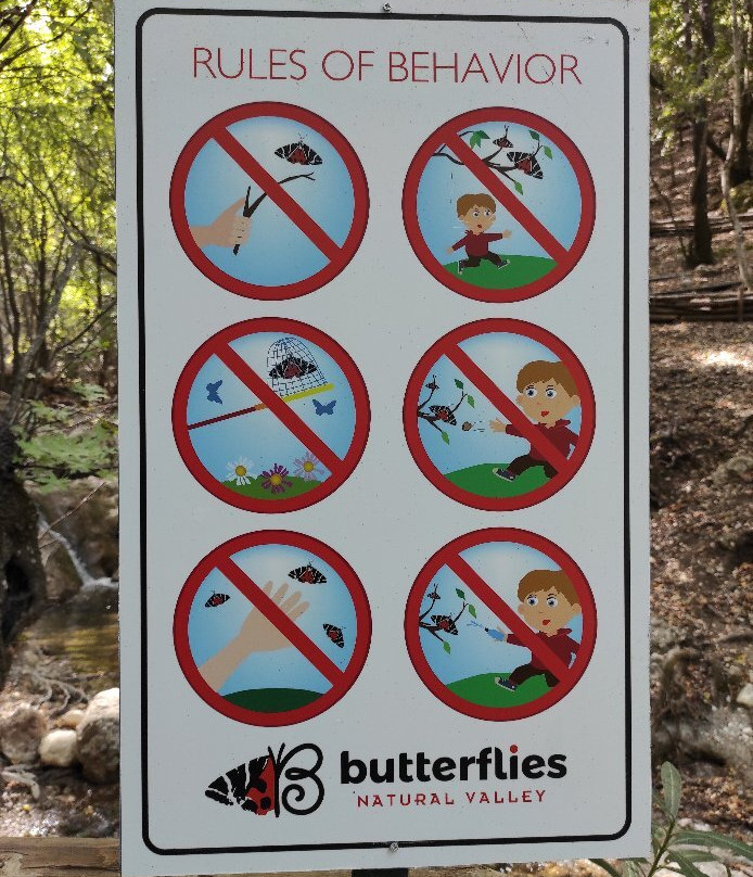 Butterfly Valley and Boat Cruise to the Island of Chalki-罗德斯必去景点