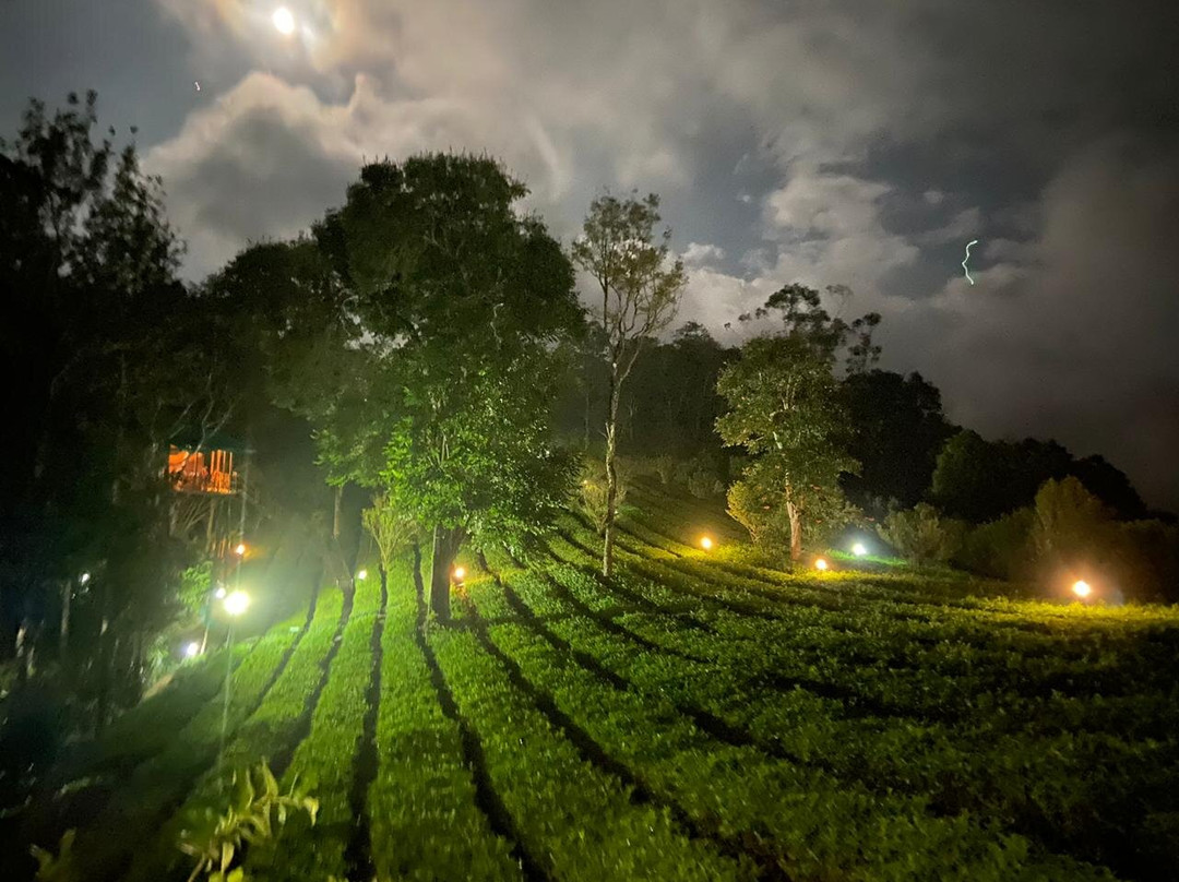 Dream Catcher Plantation Resort主图