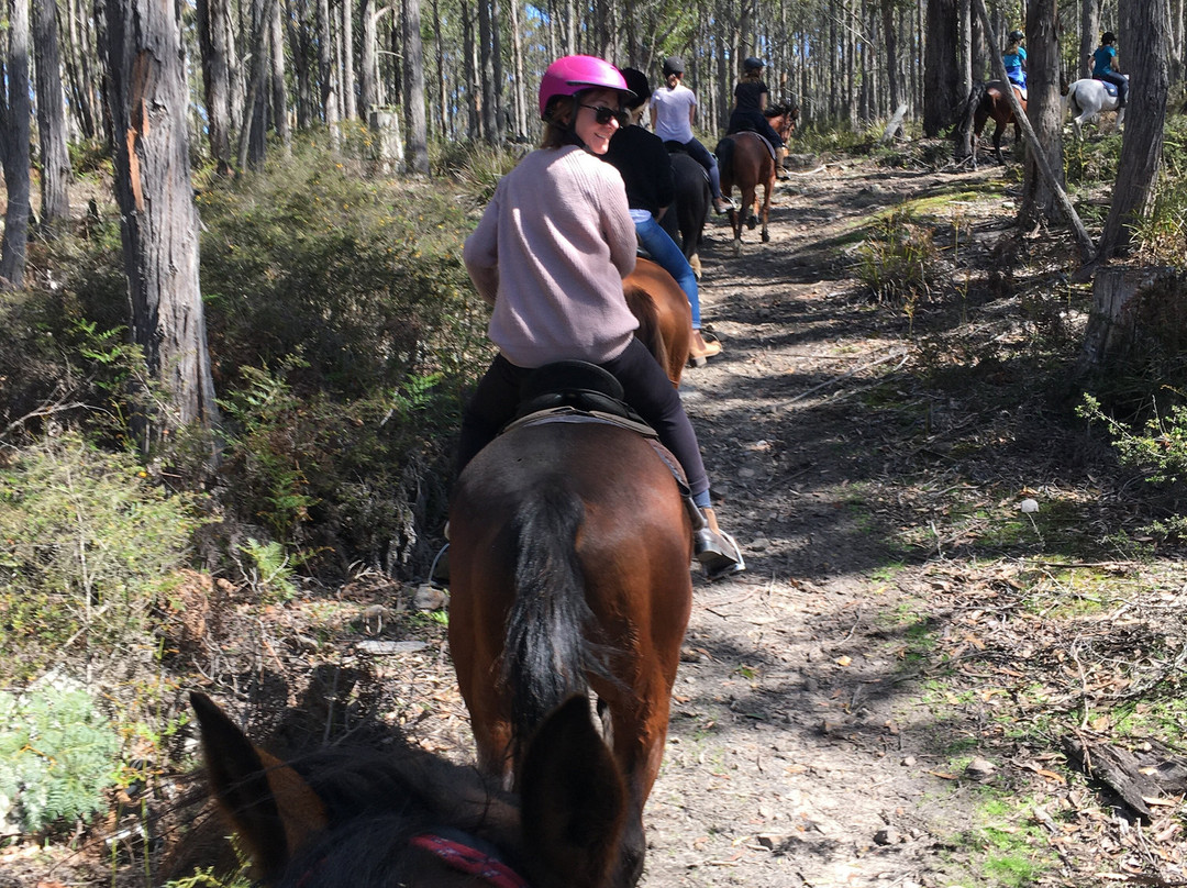 Horse Riding Tasmania景点图片