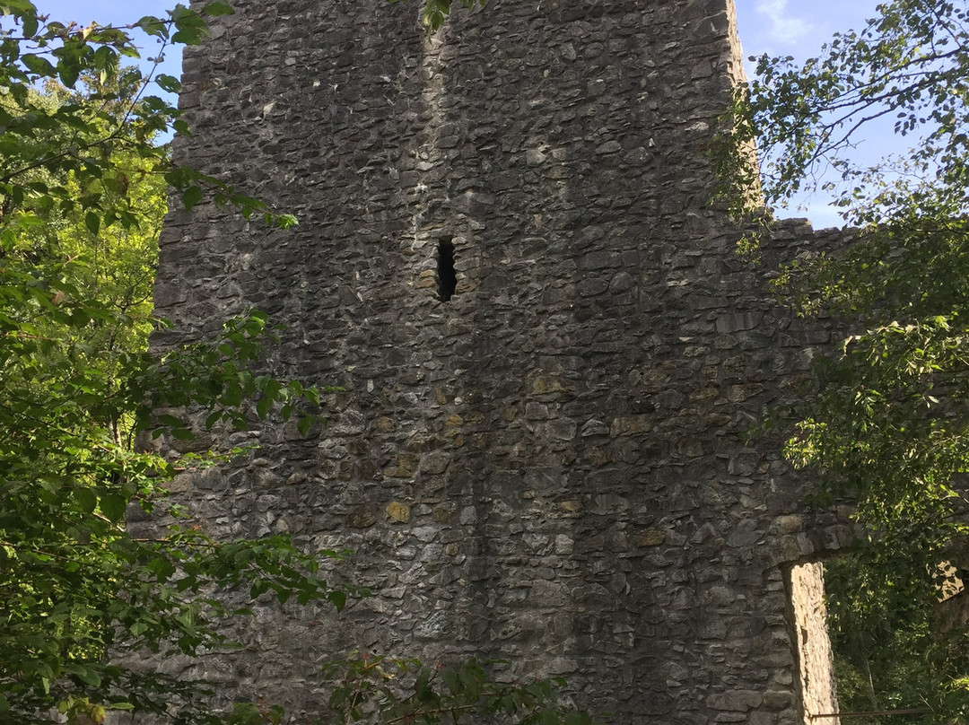 Weissenau Castle-下森必去景点