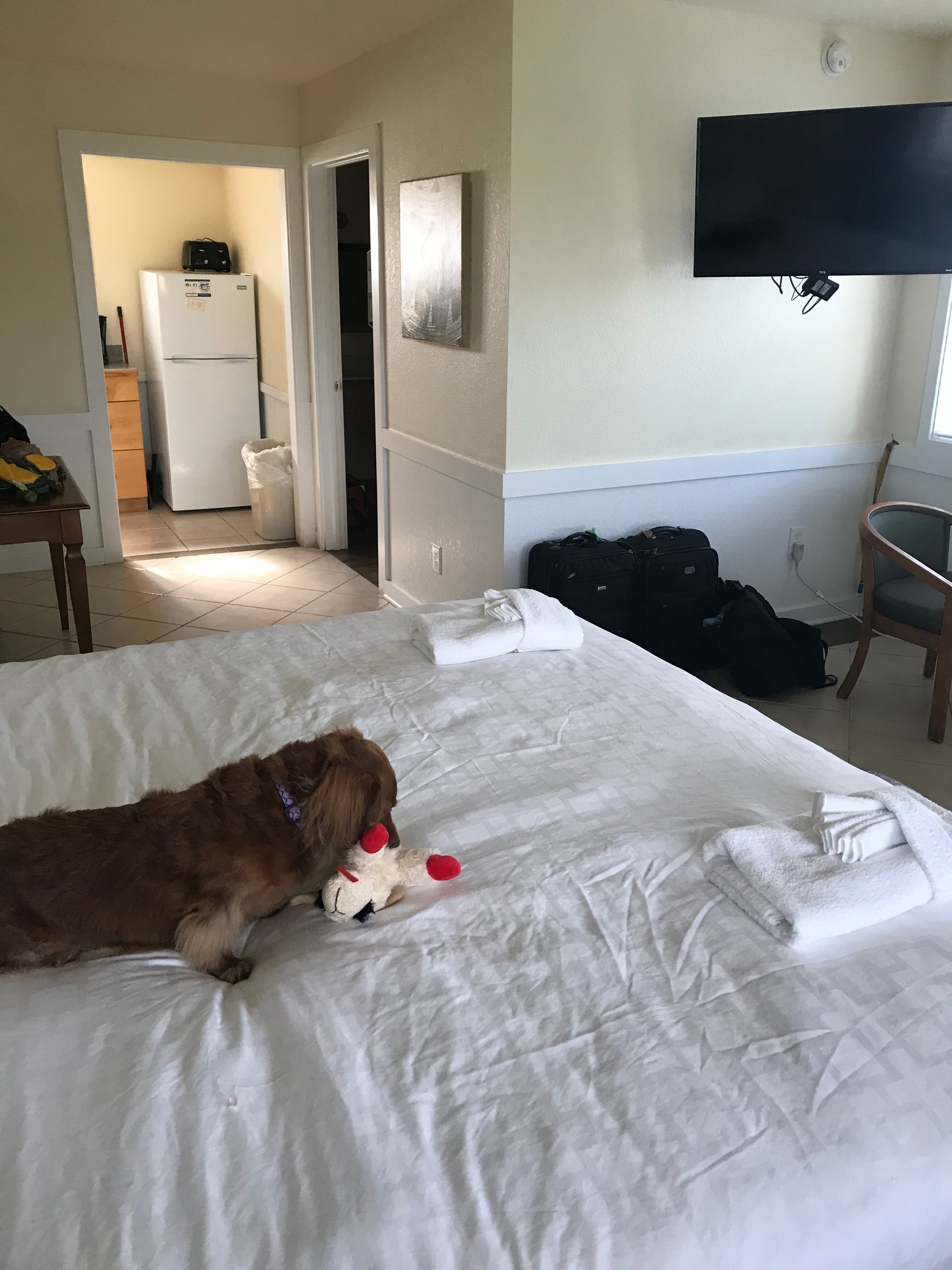 Sea Gull Motel-官方