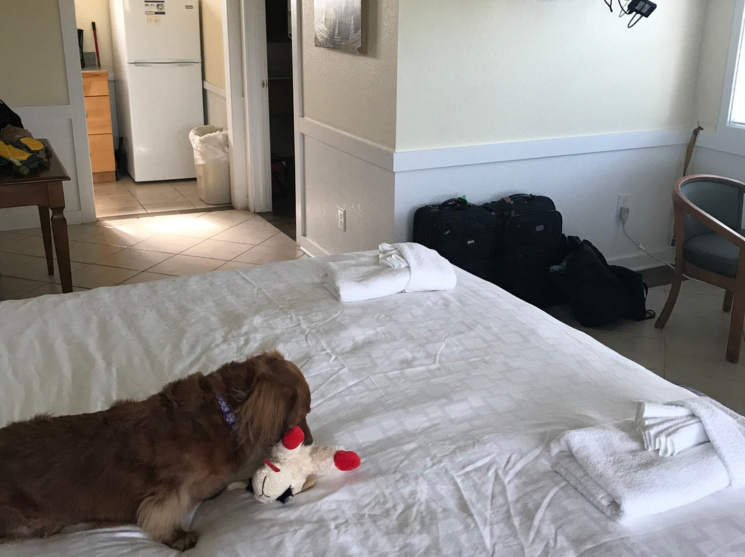 Sea Gull Motel主图