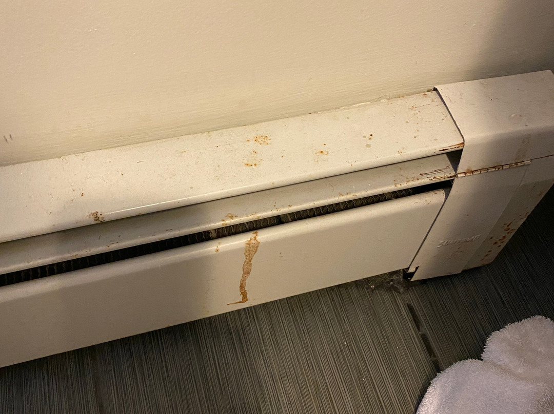 The Arnold House主图