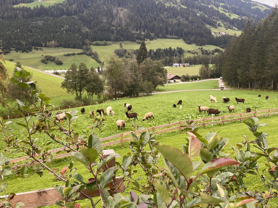 Silentium Dolomites Chalet主图