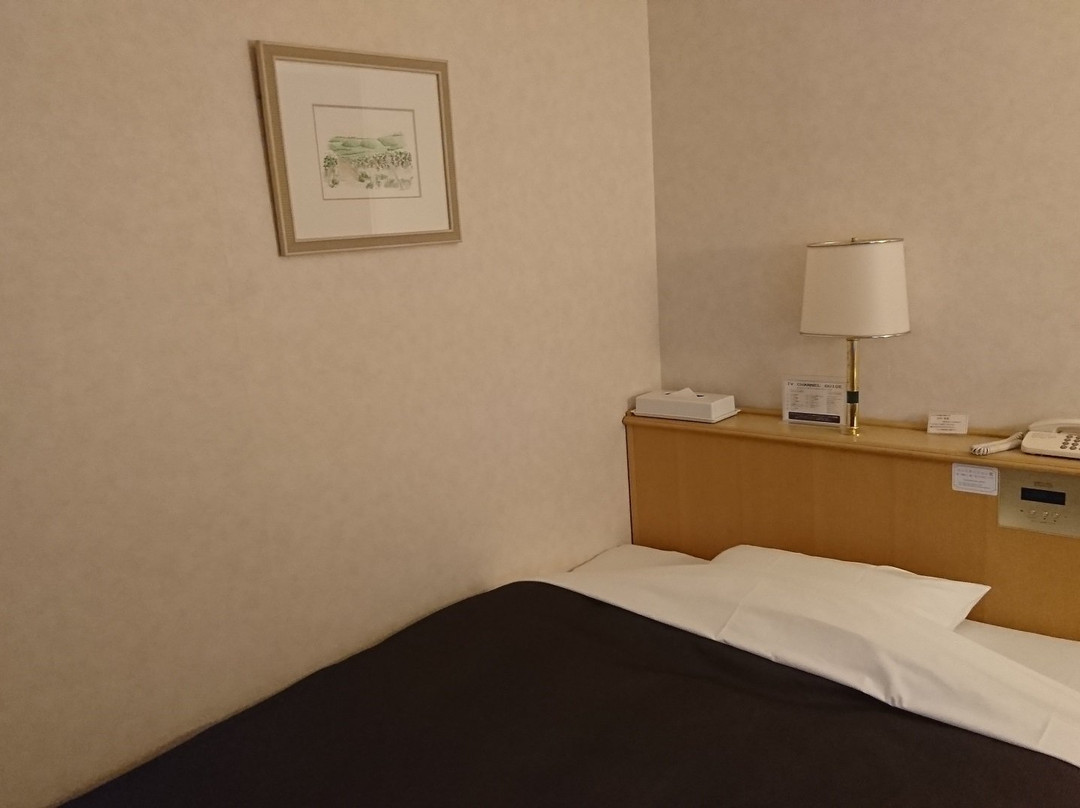 Kofu Washington Hotel Plaza主图