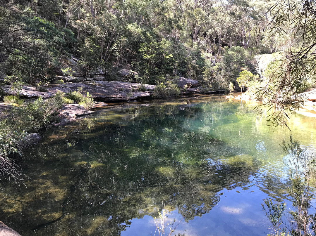 Karloo Pools-Royal National Park必去景点