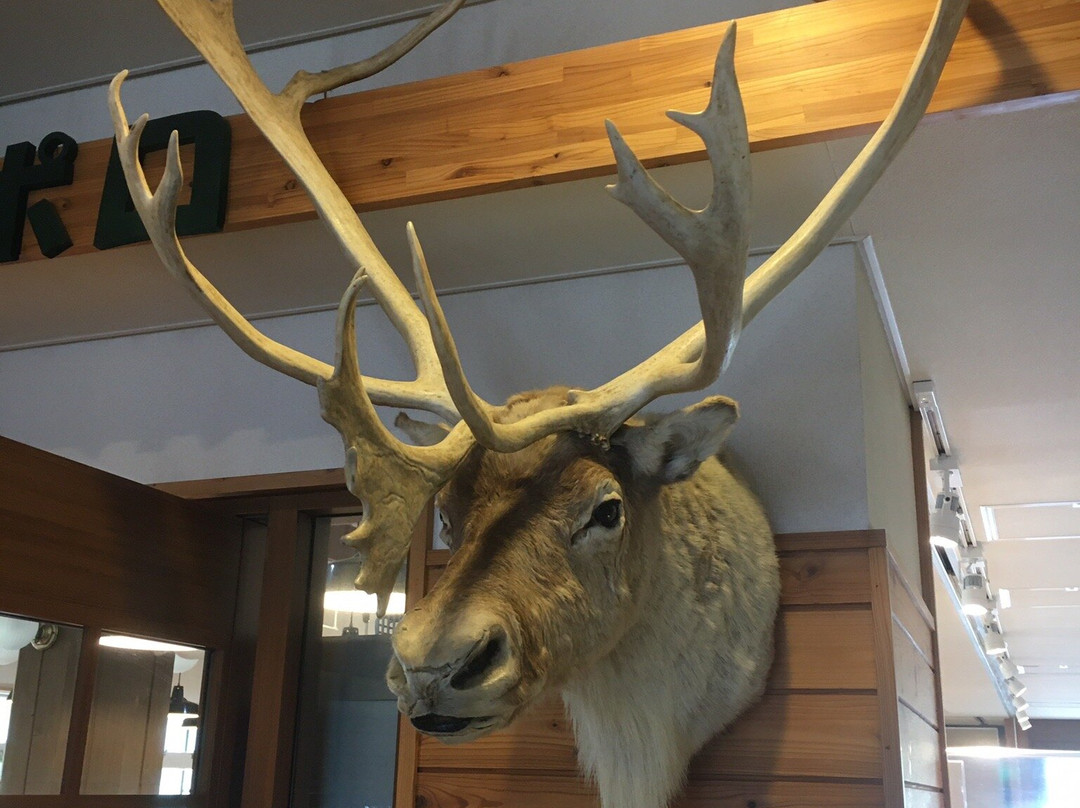 Reindeer Ranch-幌延町必去景点