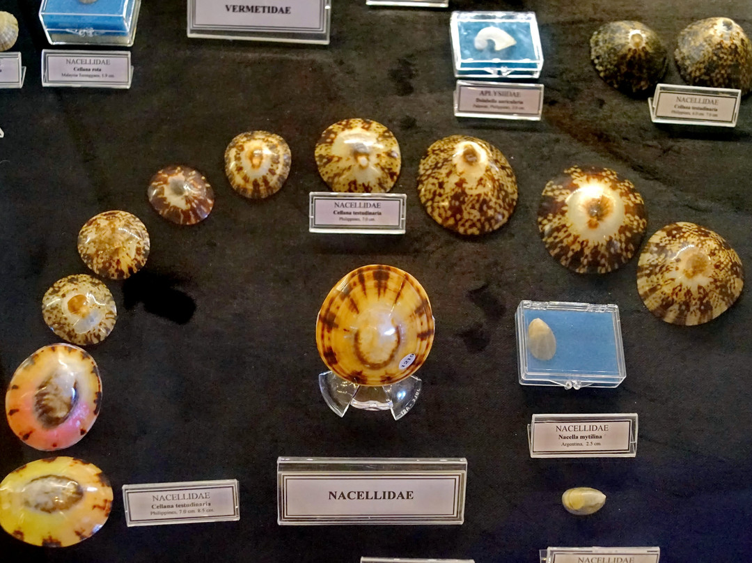 Bodrum Maritime Museum景点图片