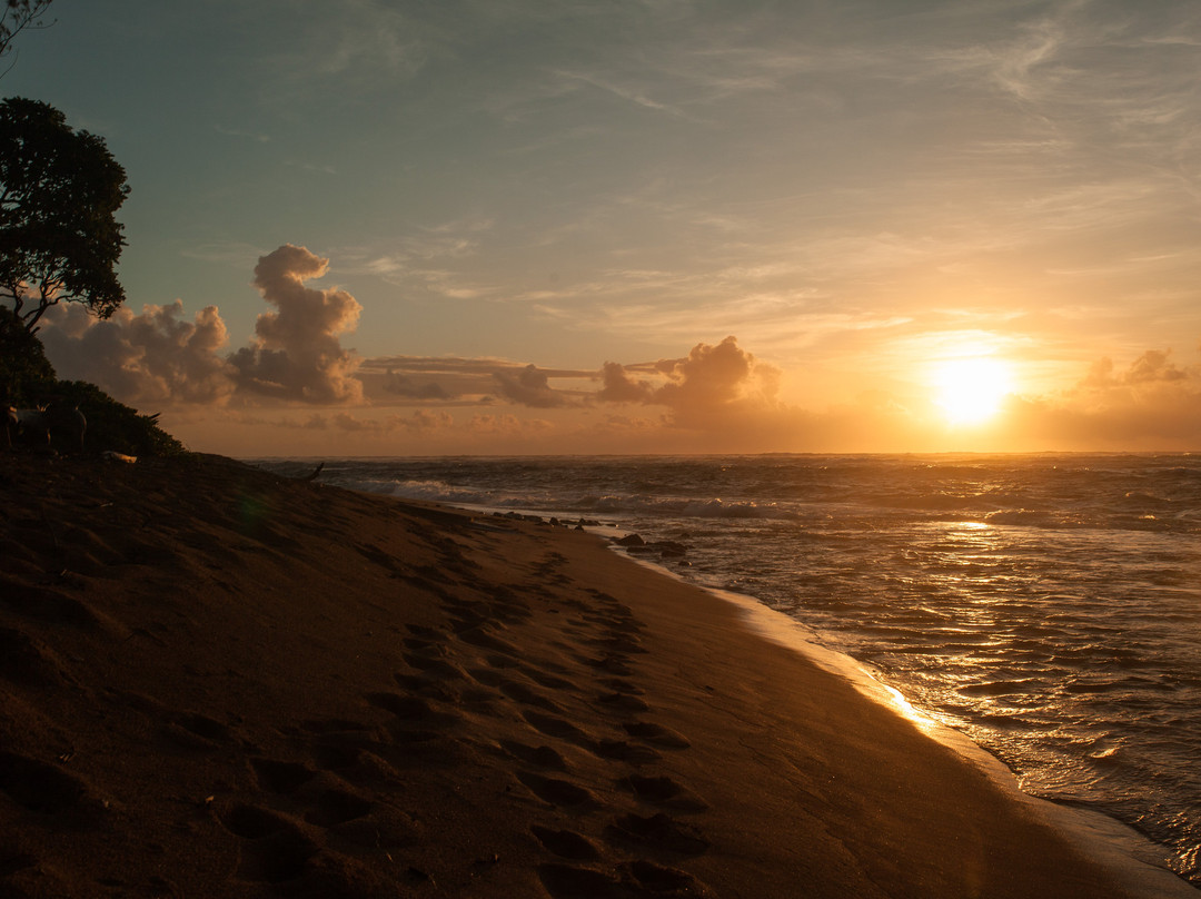 黑尔种植园套房酒店主图