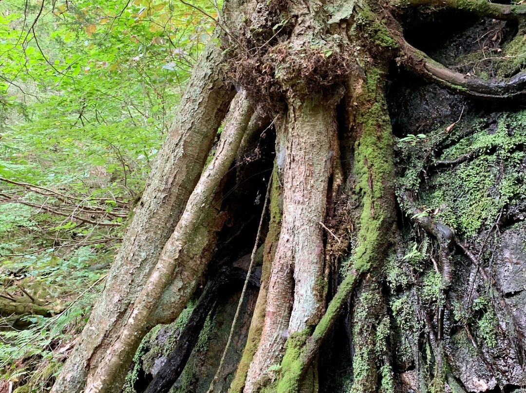 Enders Falls-Granby必去景点