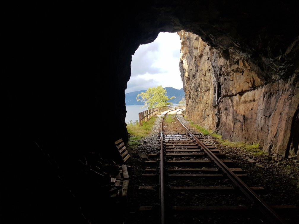 Dresinsykling på Flekkefjordsbanen Day Tours-弗莱克菲尤尔必去景点